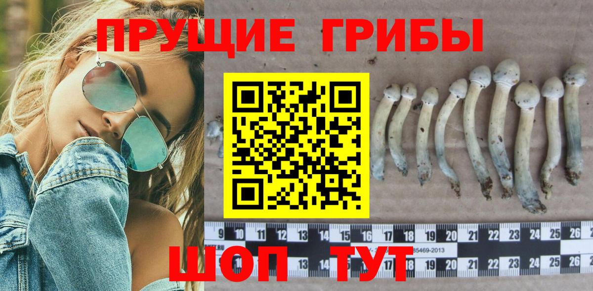 Азов  Галлюциногенные грибы ЛСД  Галлюциногенные грибы Cubensis  Вход с VPN 